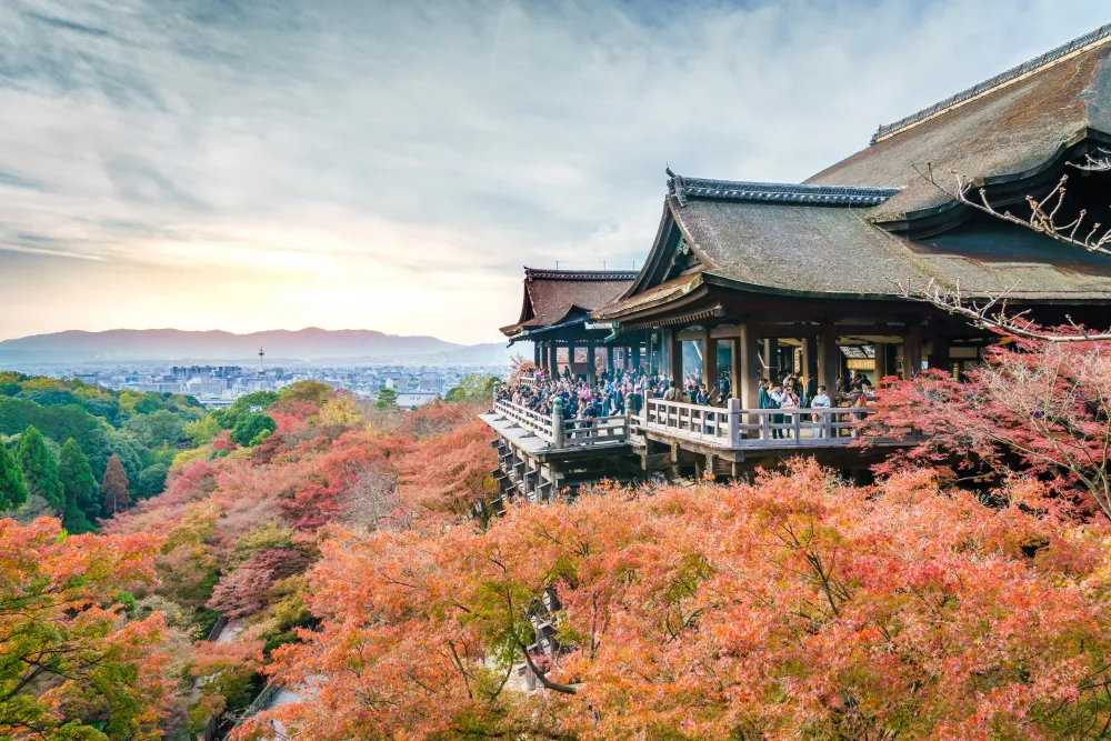 Jepang Bulan Oktober: Cuaca, Momiji, dan Destinasi Terbaik