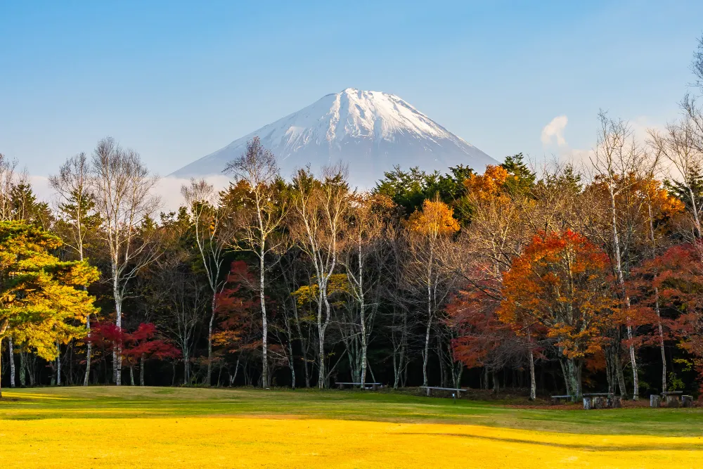 Jepang Bulan September: Cuaca, Destinasi, dan Tips Liburan