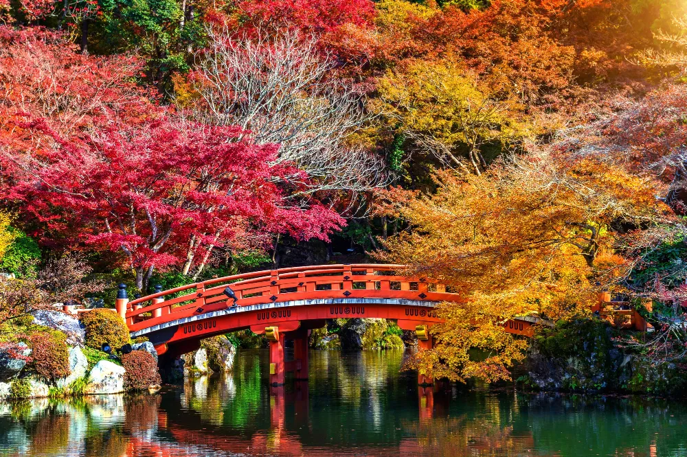 Jepang di Musim Gugur: Waktu Terbaik Melihat Momiji dan Destinasi Favorit