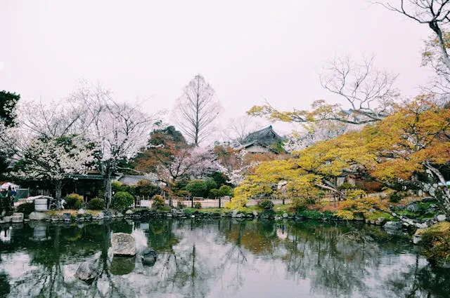 Tempat Instagramable di Jepang yang Wajib Masuk Bucket List