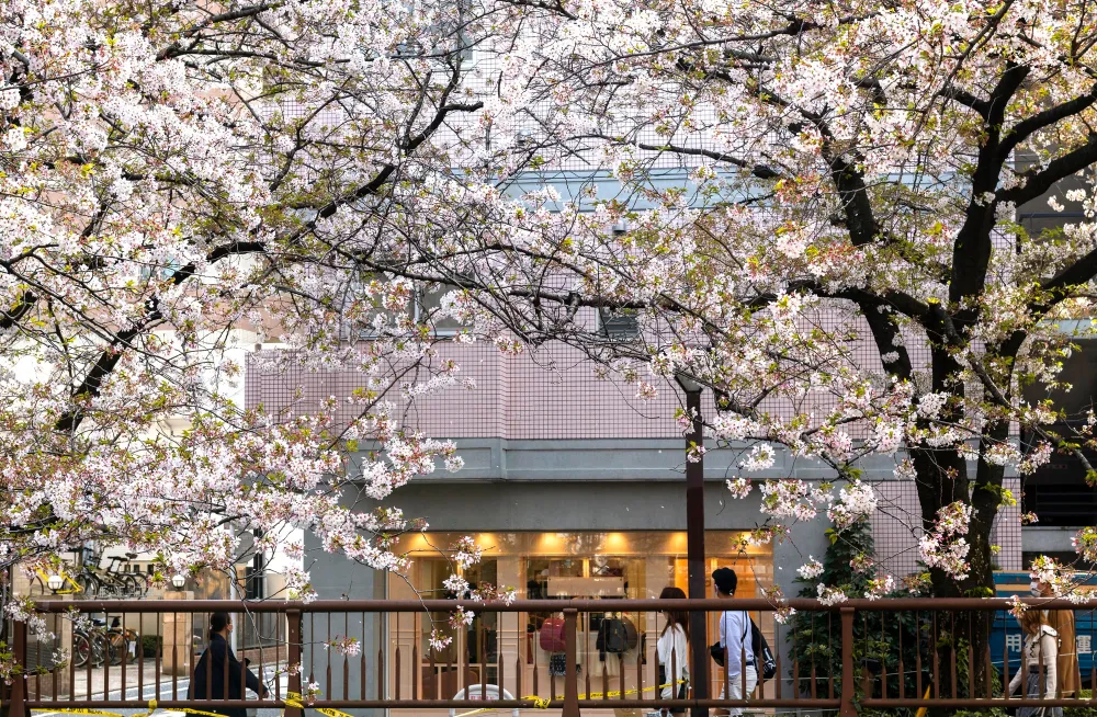 Tips Memilih Hotel di Tokyo untuk Wisatawan Indonesia